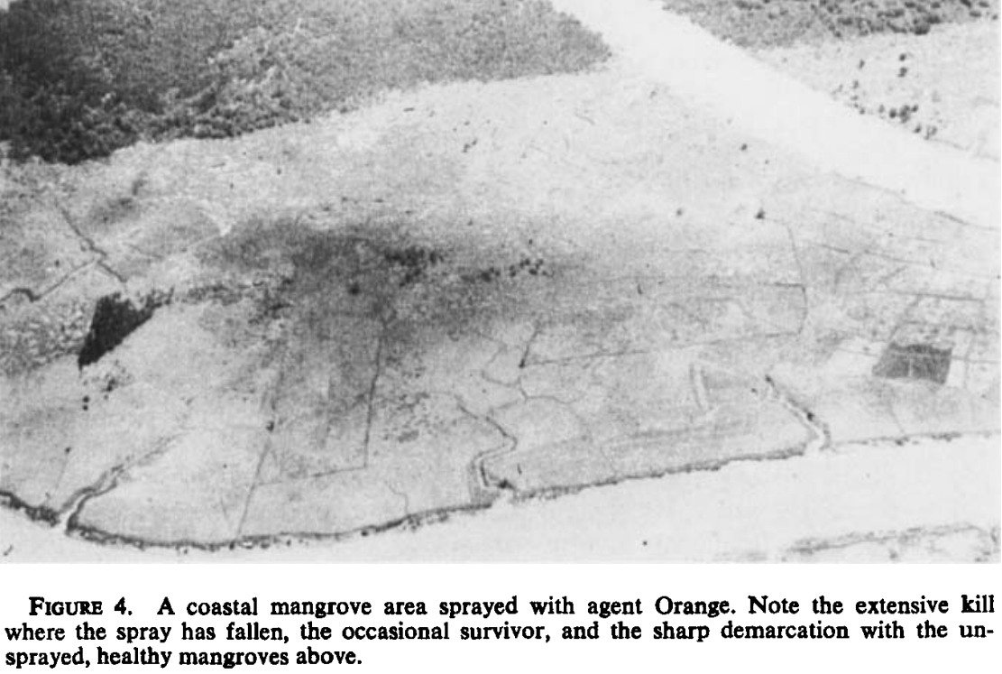 Aerial photograph of defoliated mangroves, Agent Orange, Vietnam. Galston, 1972.